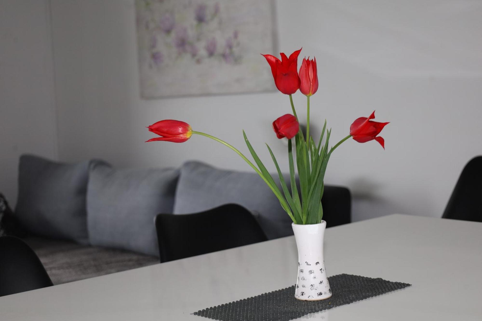 Apartma Javorscek Bovec Eksteriør billede